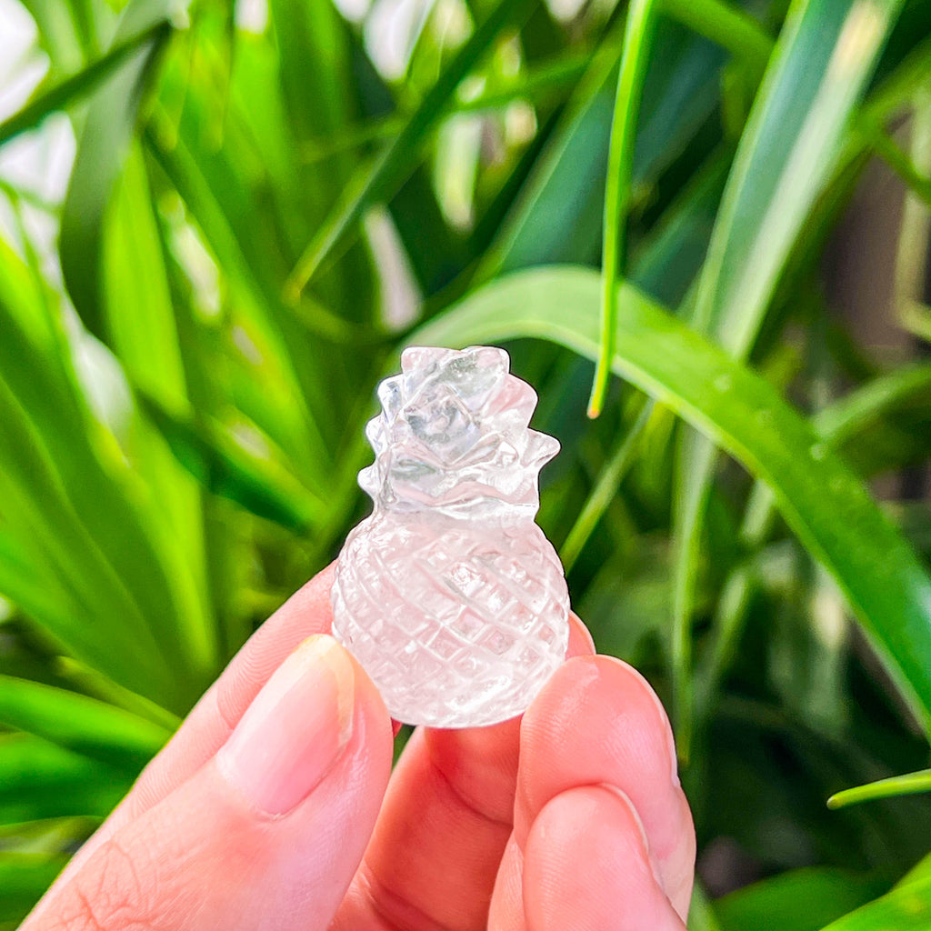 pineapple (small)