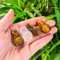 pineapple (small)
