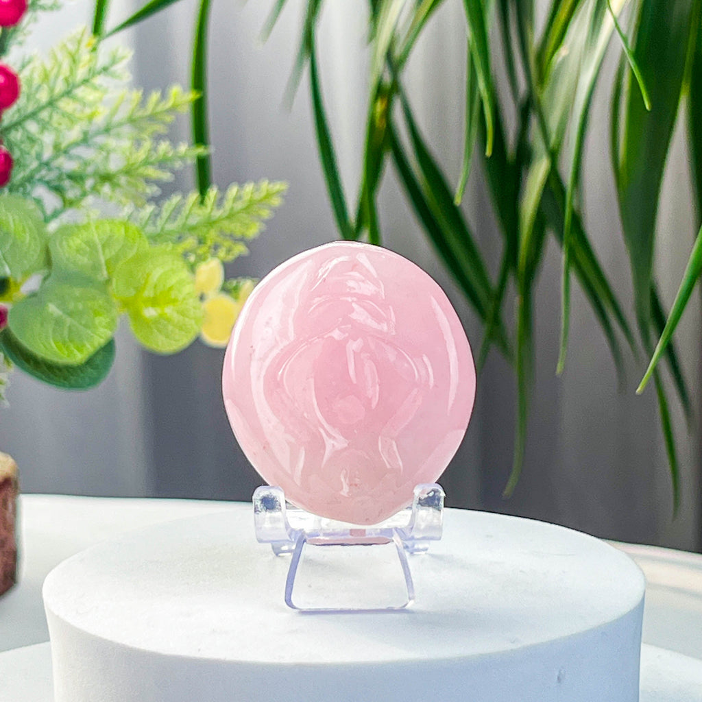 rose quartz source of life