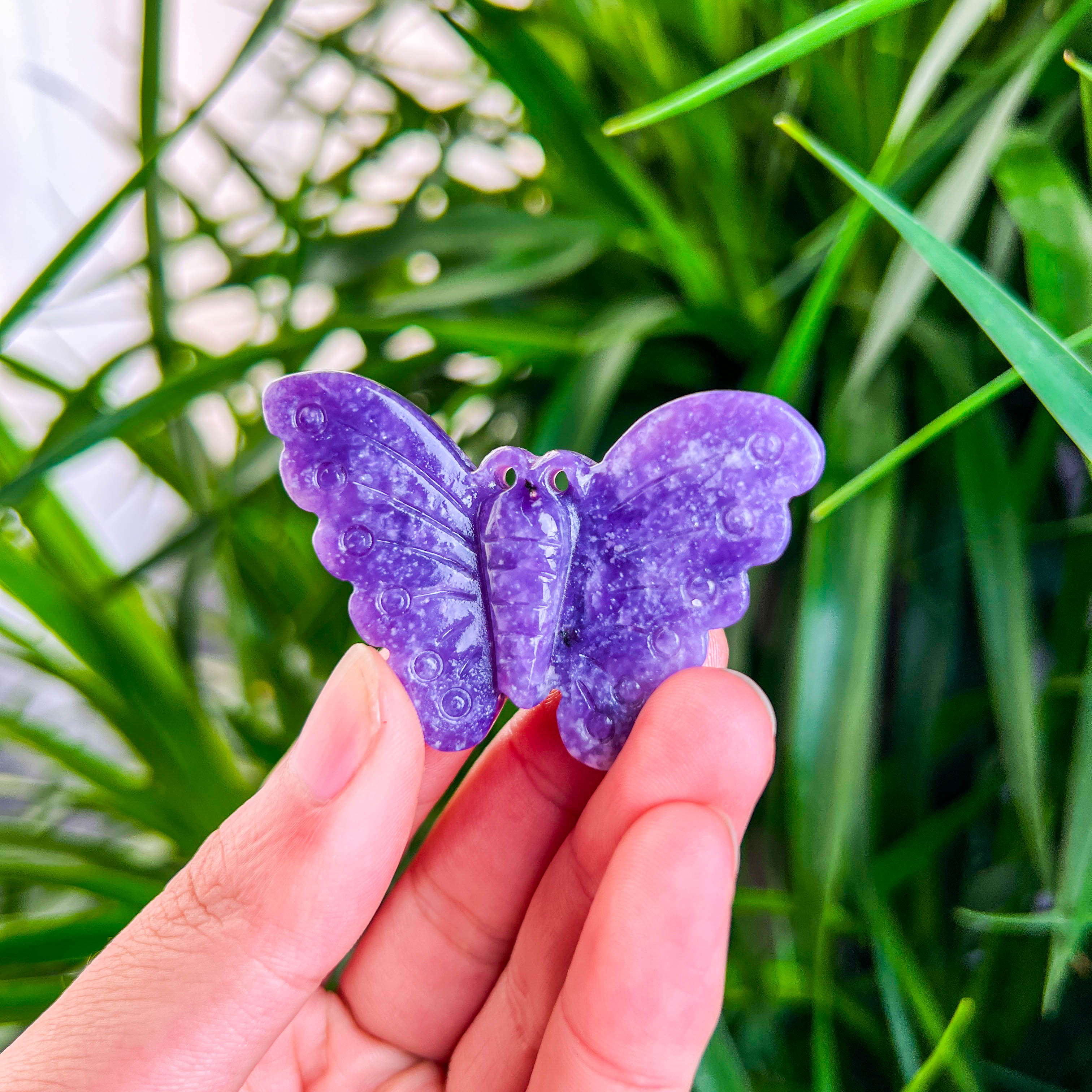 Moth