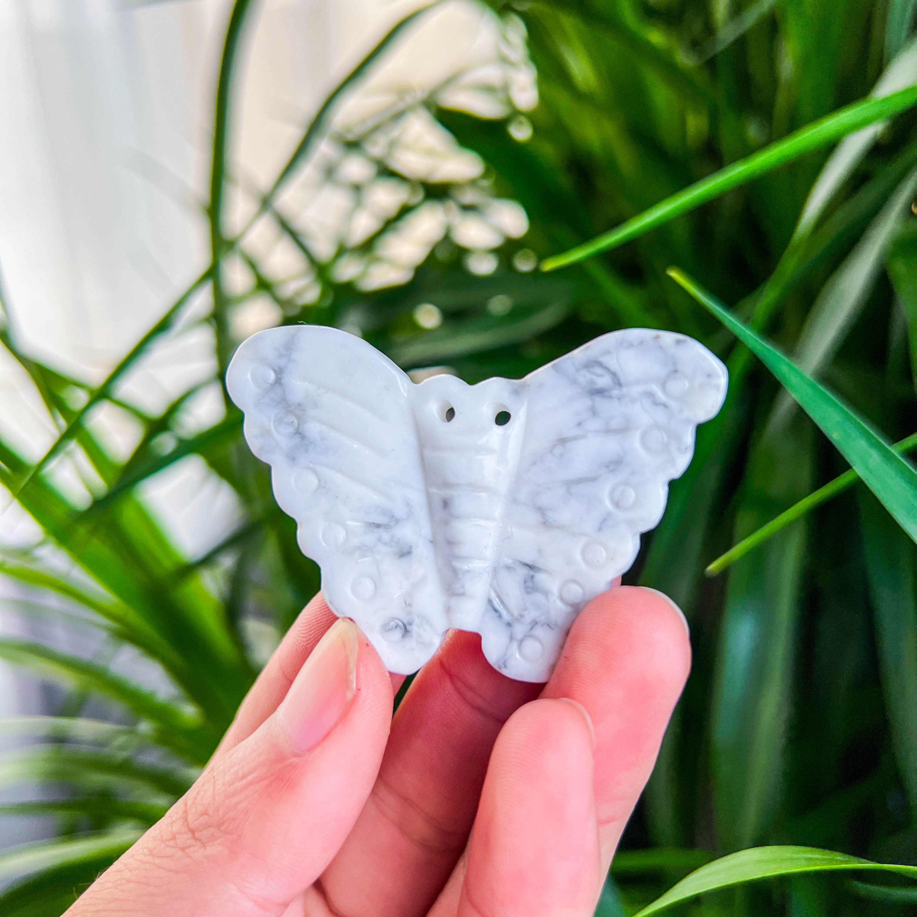 Moth