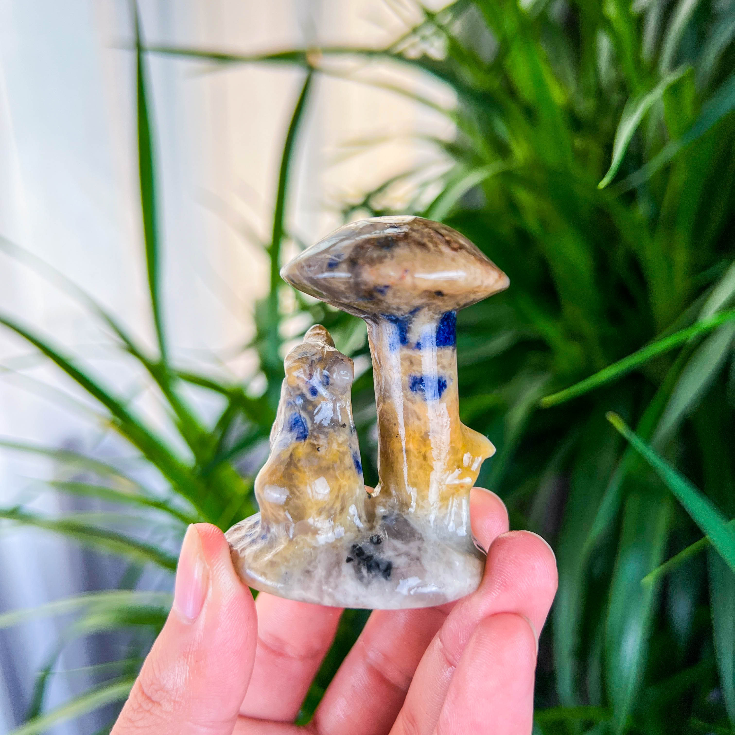 mushroom