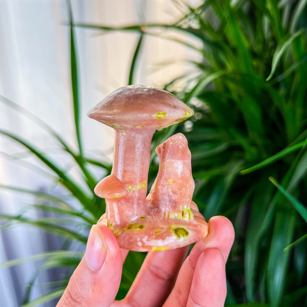 mushroom