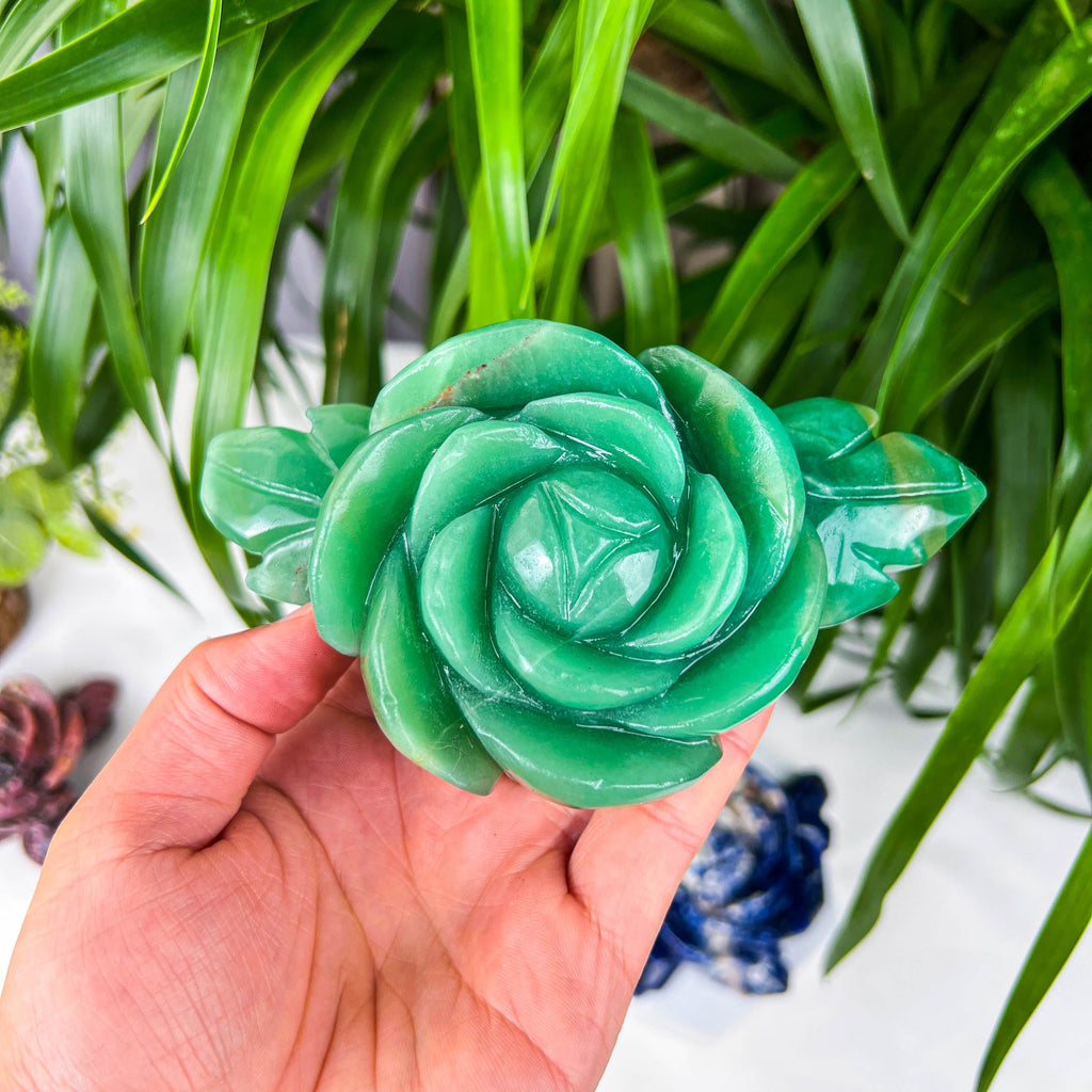 rose (big）