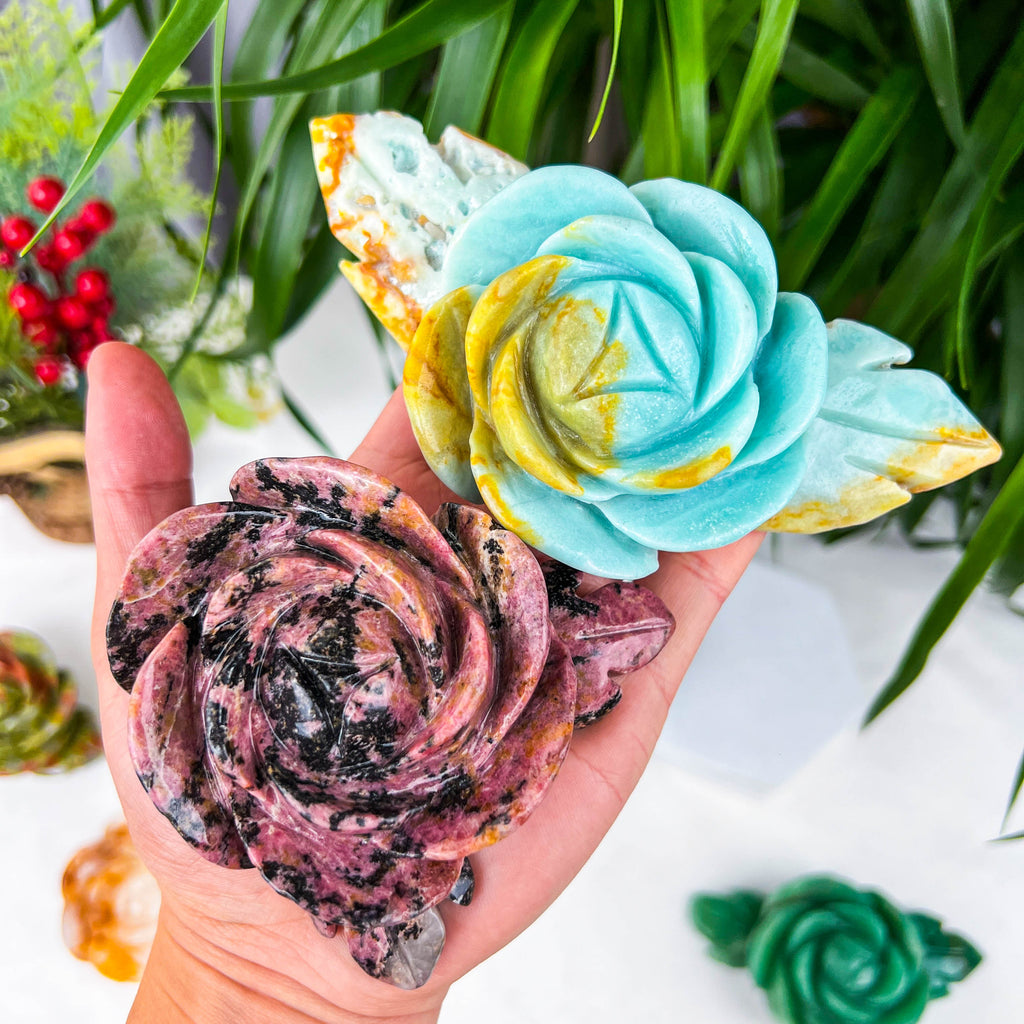 rose (big）