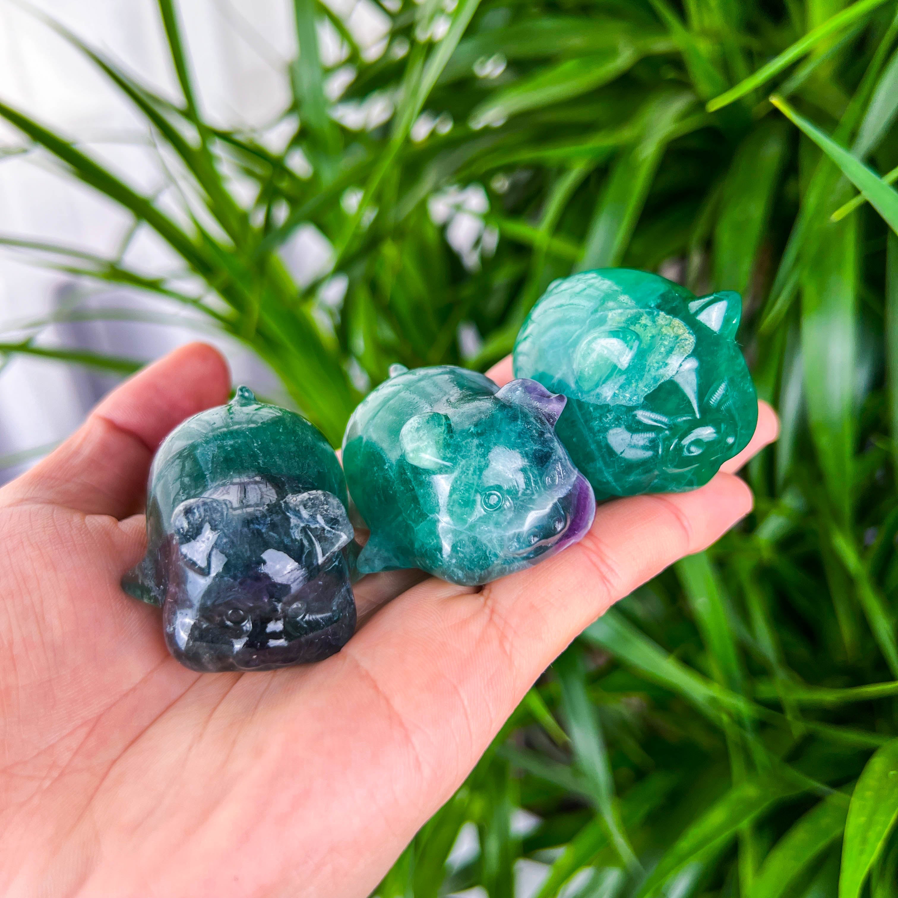 fluorite pig