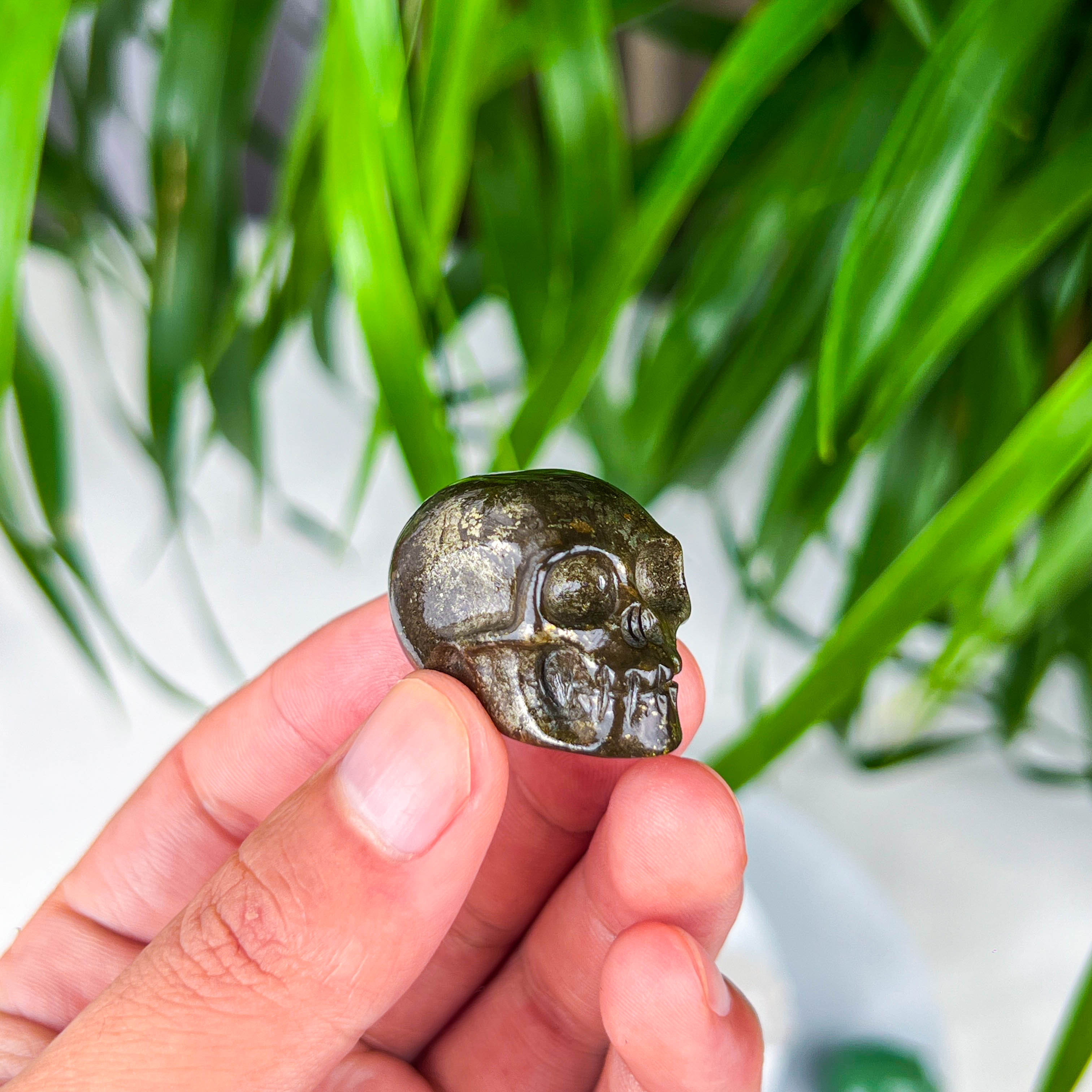 skull (small)