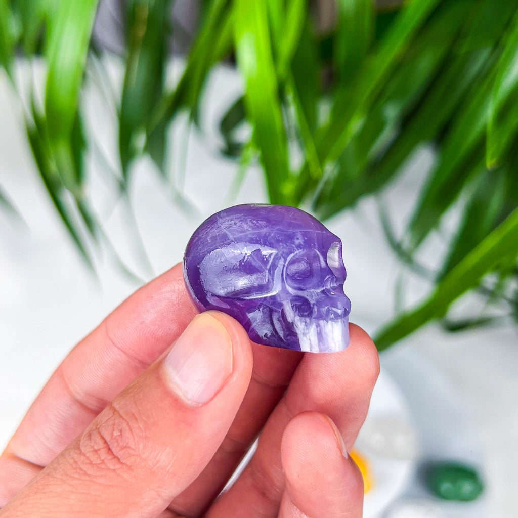 skull (small)