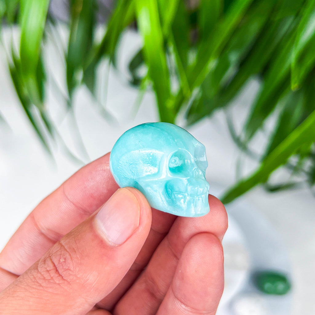 skull (small)