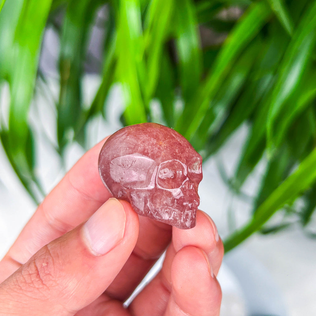 skull (small)