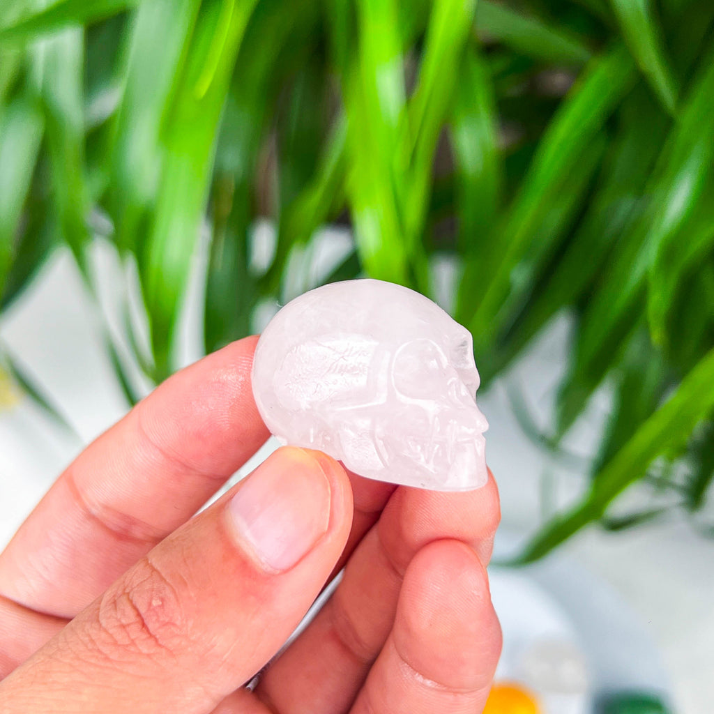 skull (small)