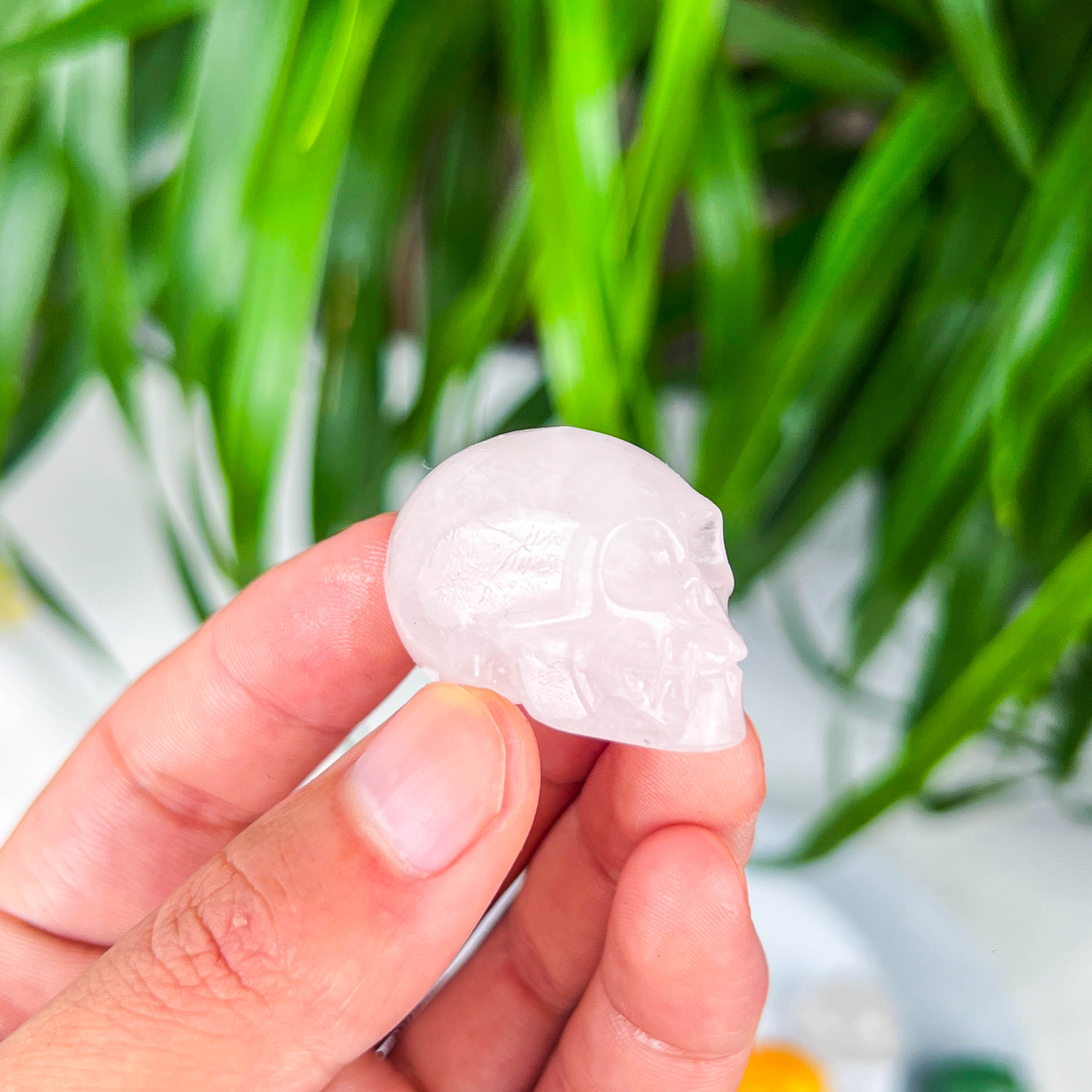 skull (small)