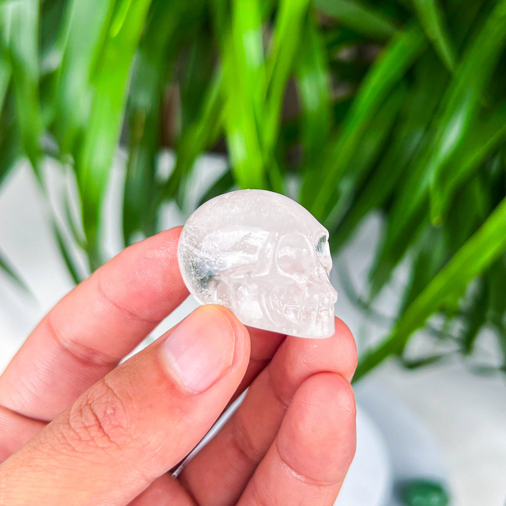 skull (small)