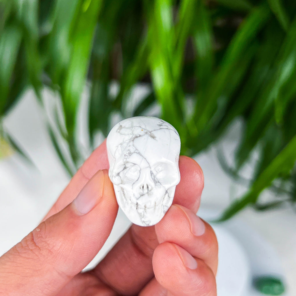 skull (small)