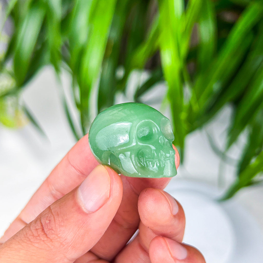 skull (small)