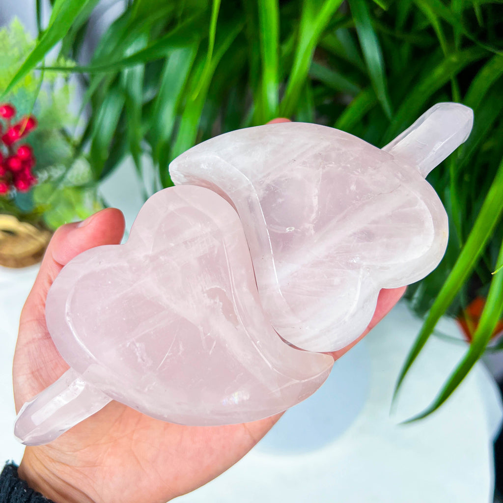 Heart shape cup