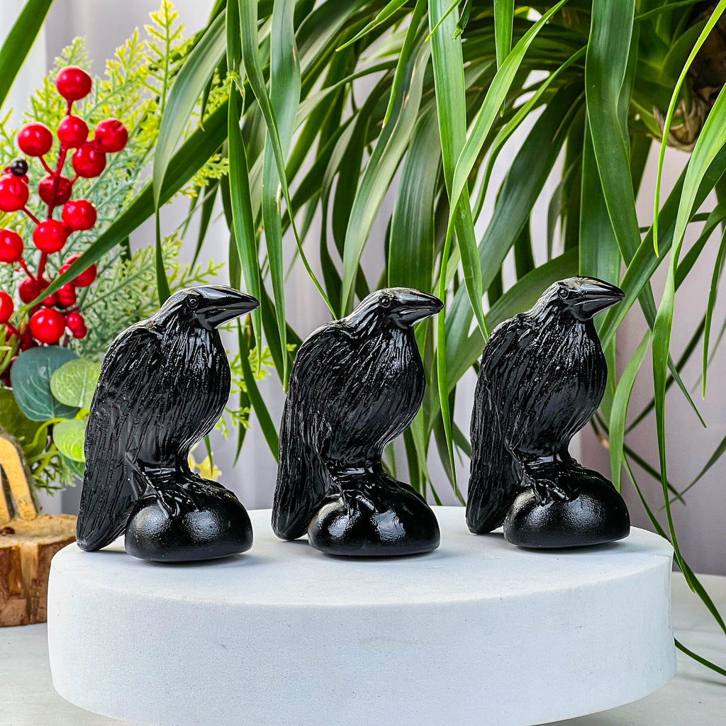 Black obsidian crow
