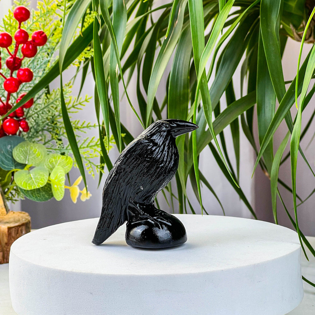 Black obsidian crow