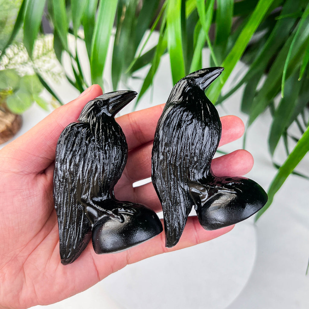 Black obsidian crow