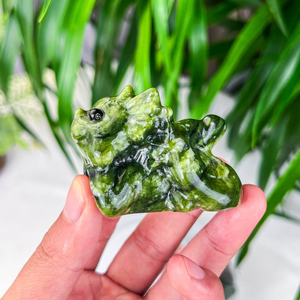 baby dragon（lying）