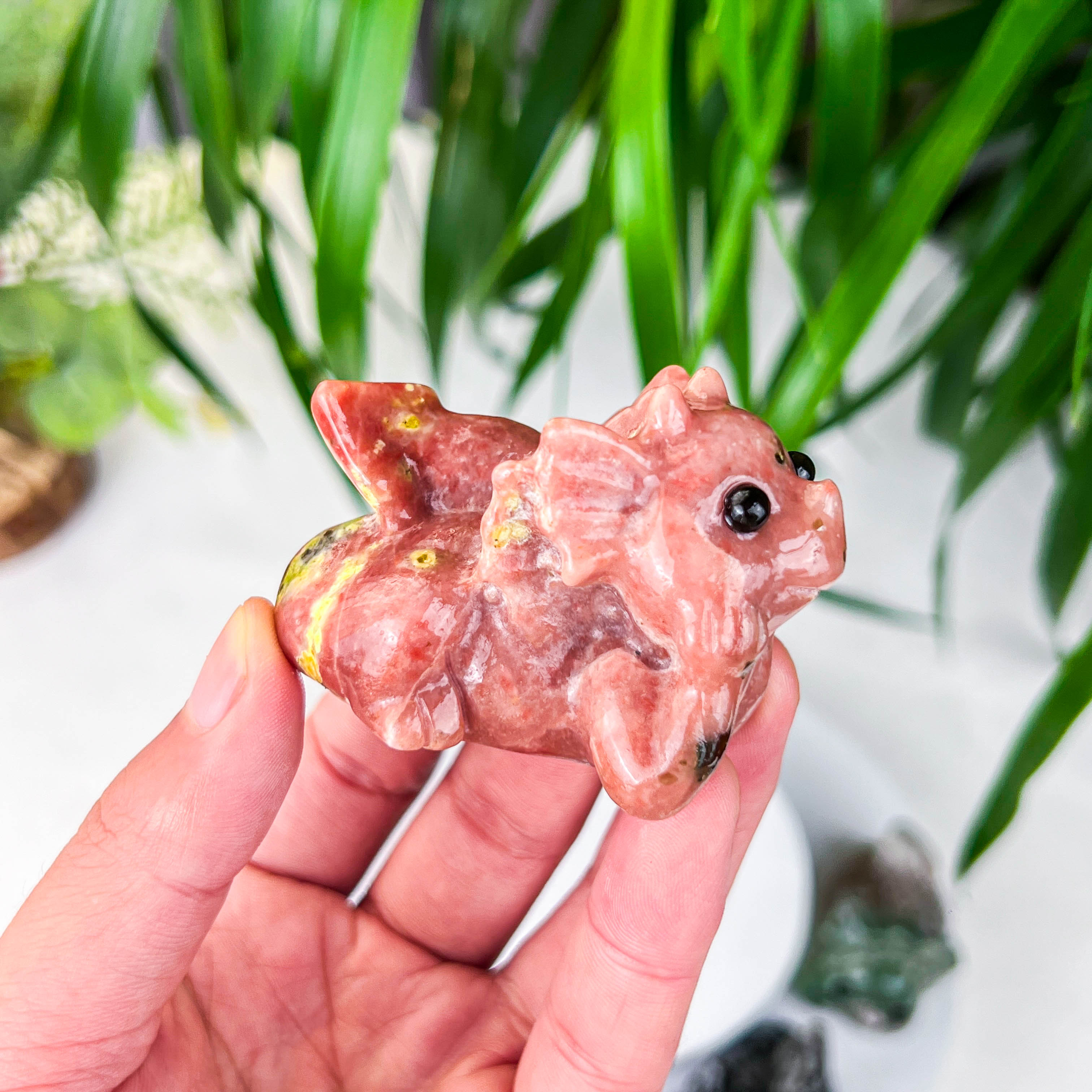 baby dragon（lying）