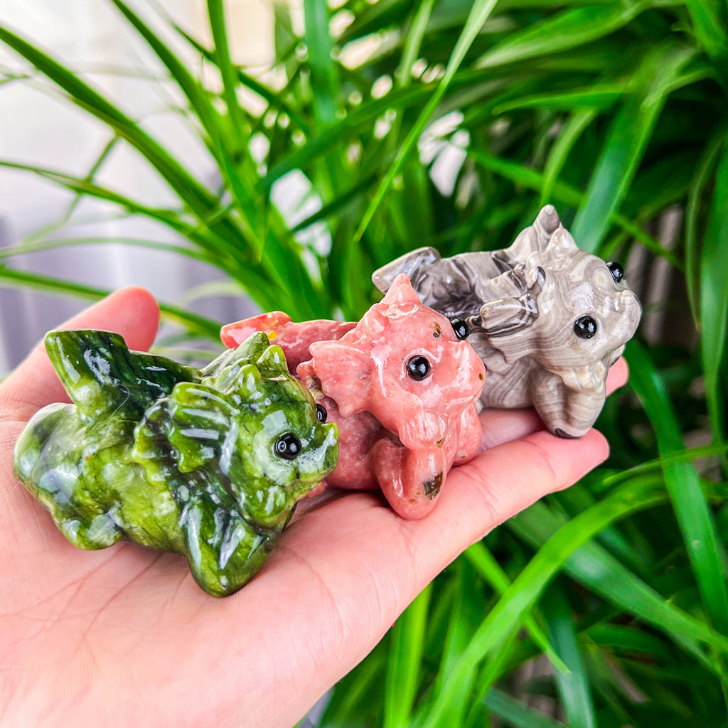 baby dragon（lying）