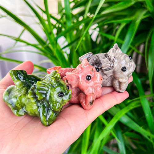 baby dragon（lying）