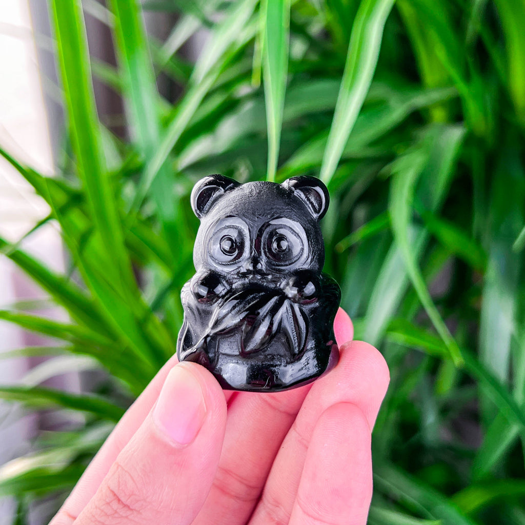 panda