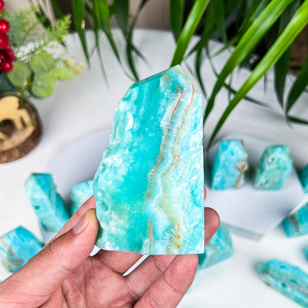 Caribbean calcite tower