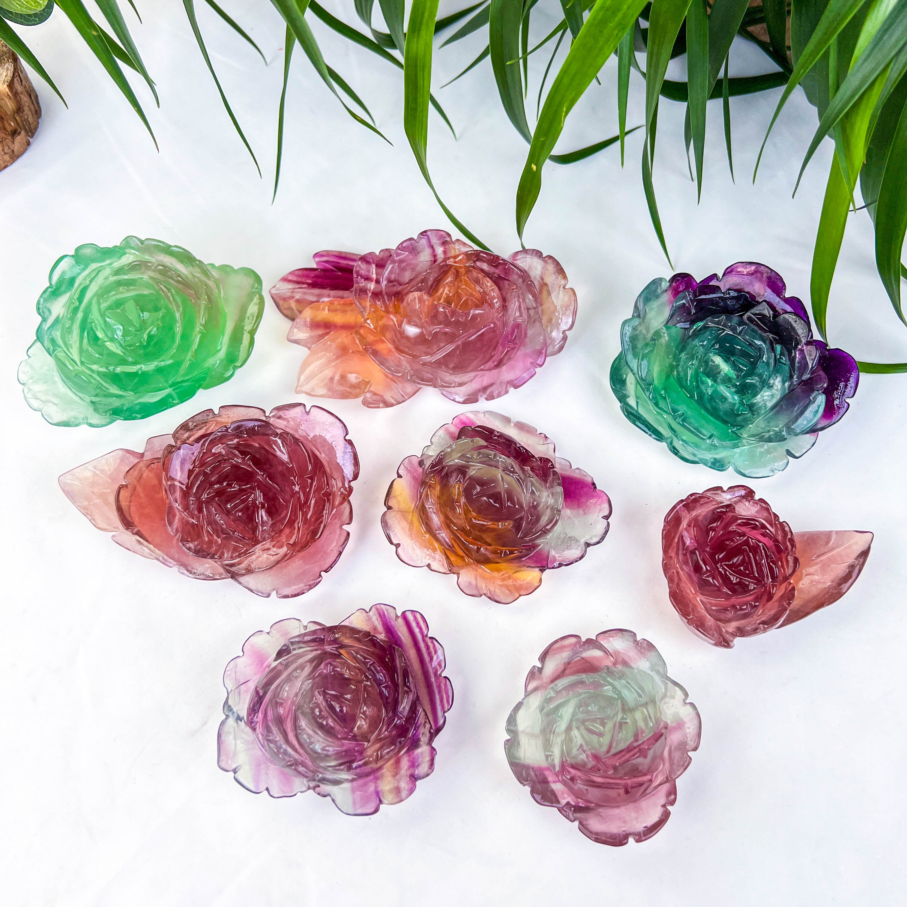fluorite rose