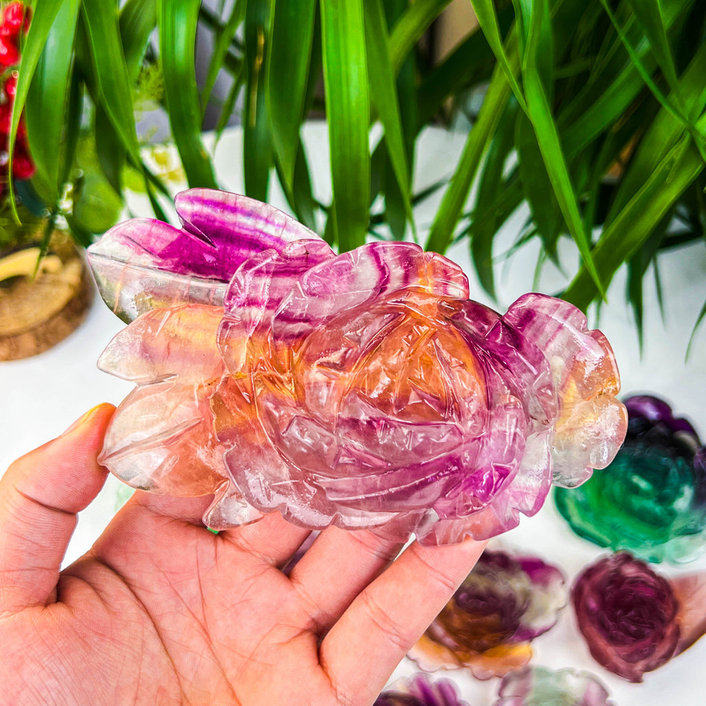 fluorite rose