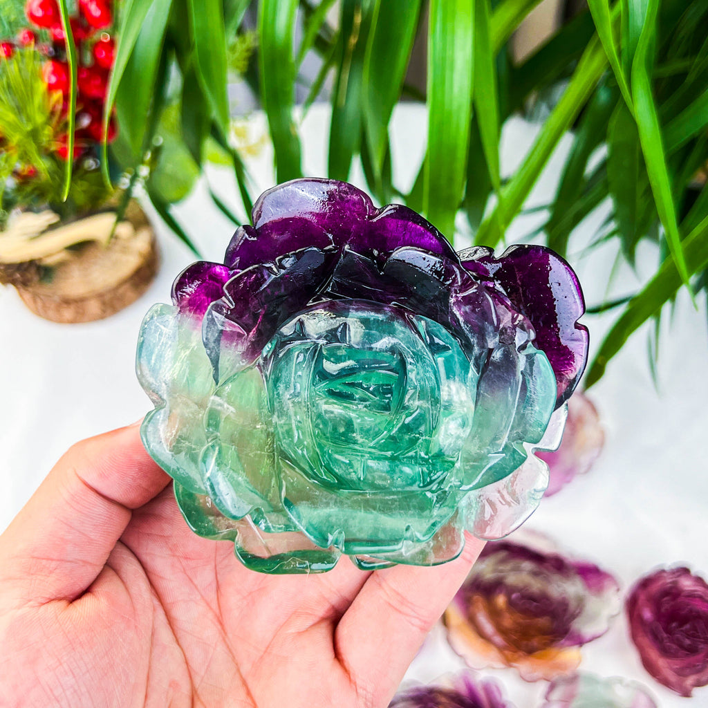 fluorite rose