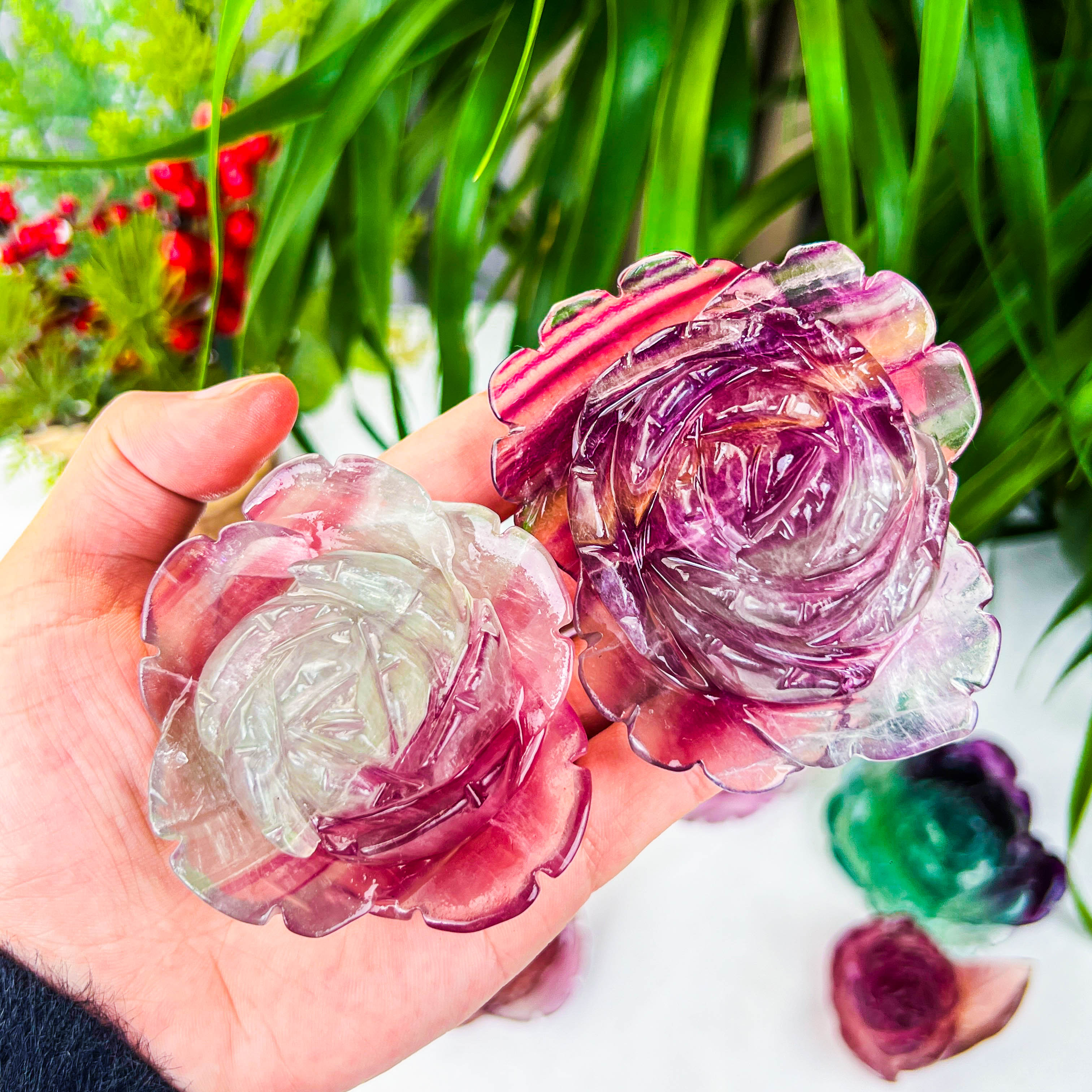 fluorite rose