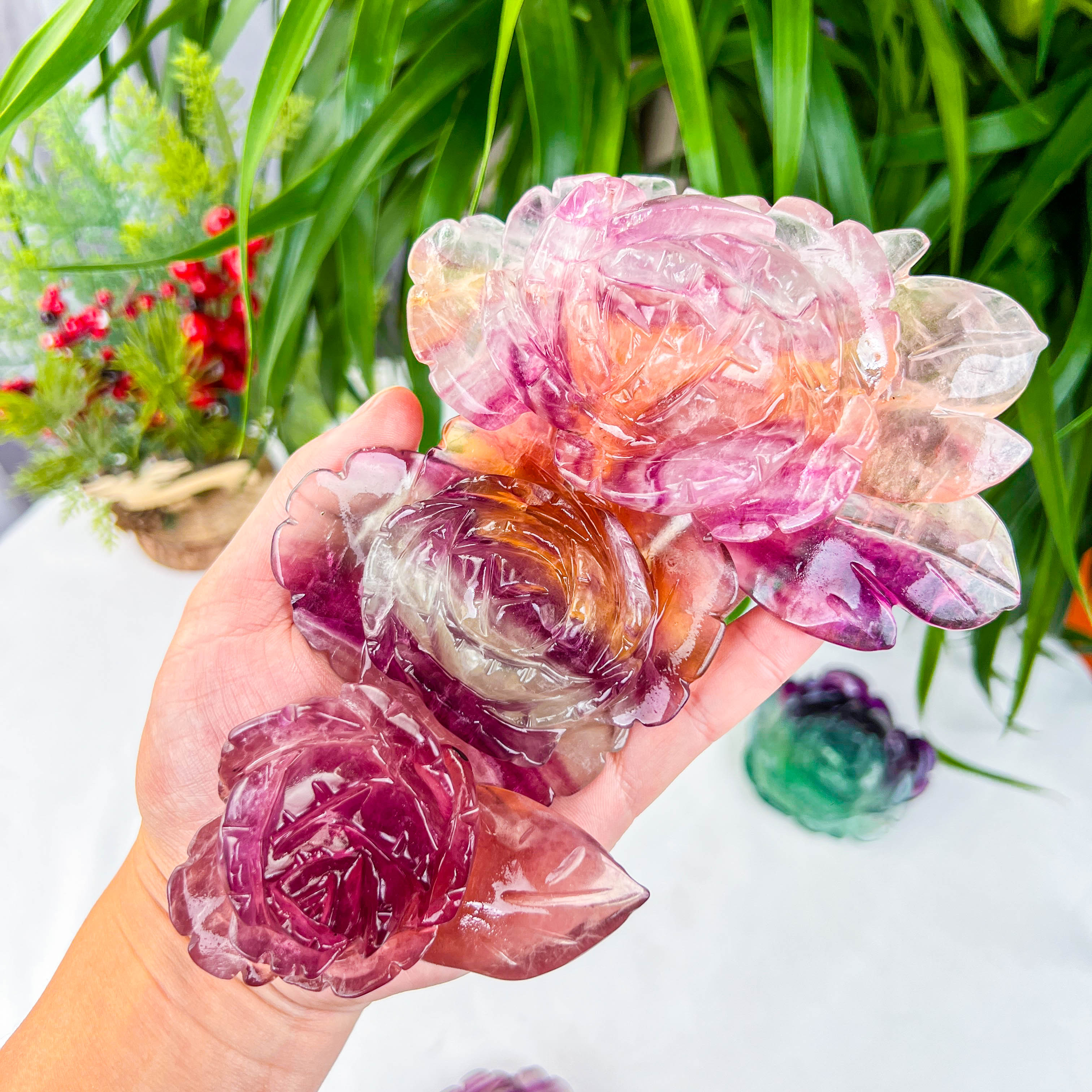 fluorite rose