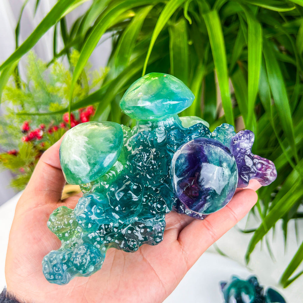 fluorite msuhroom