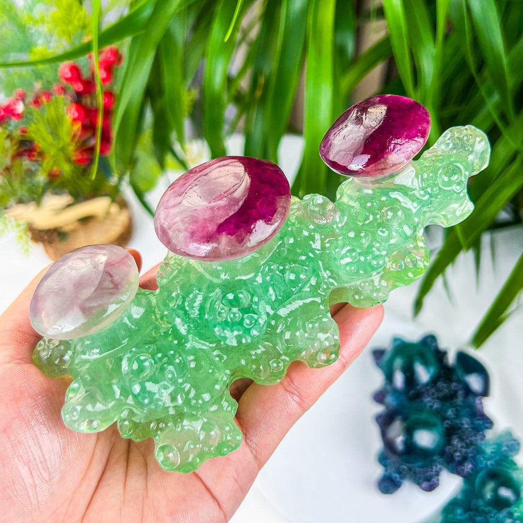 fluorite msuhroom
