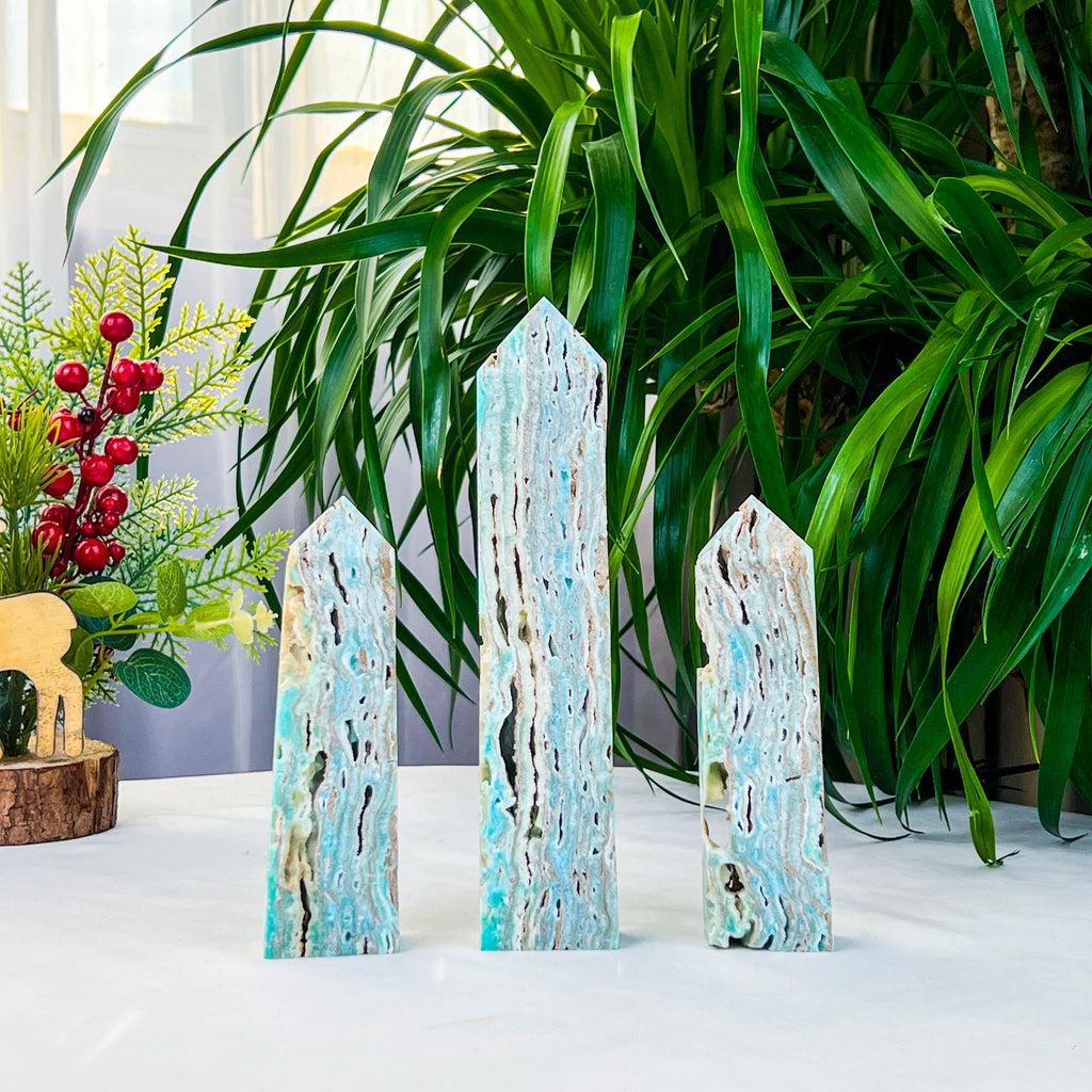Caribbean calcite tower