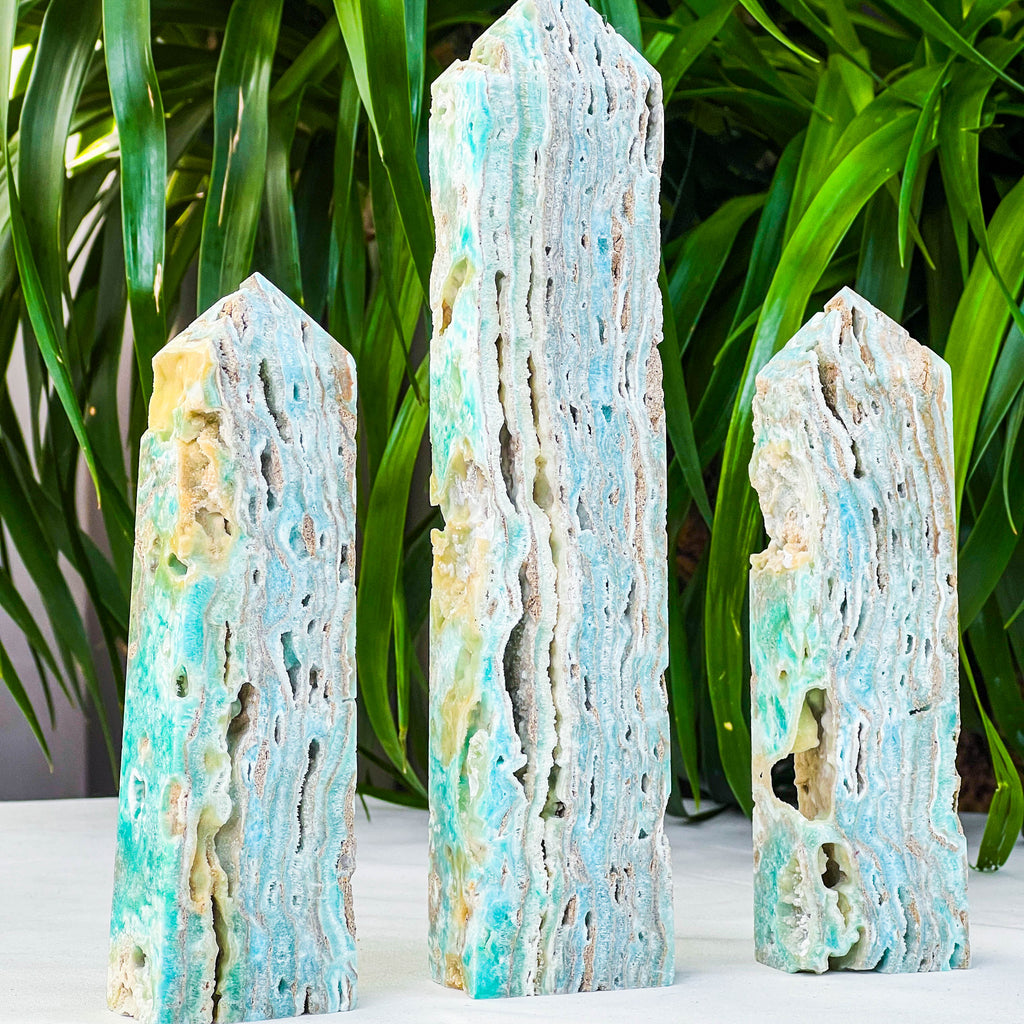 Caribbean calcite tower
