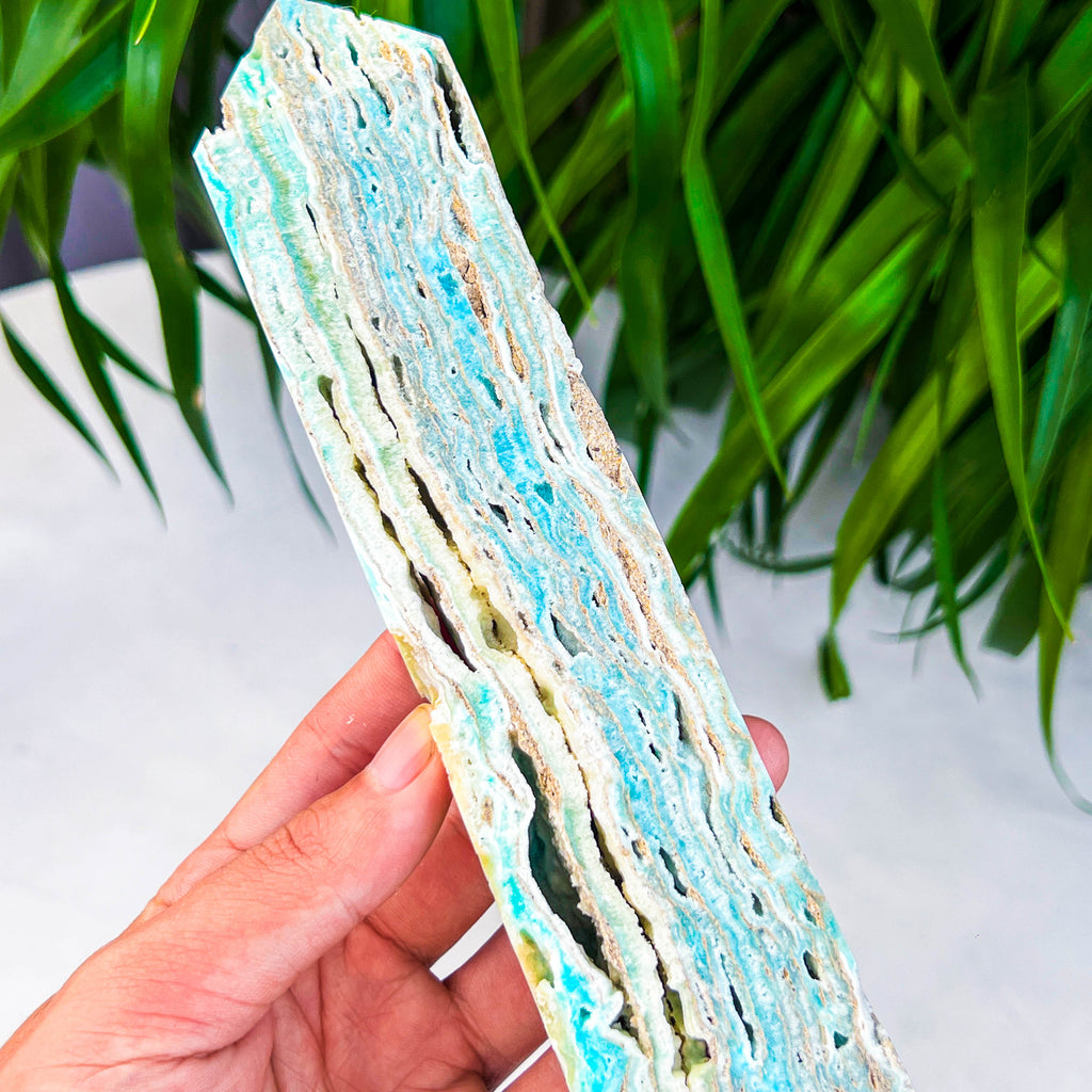 Caribbean calcite tower