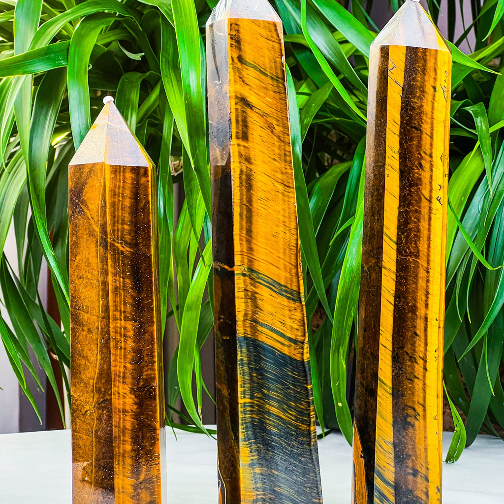 tiger eye tower