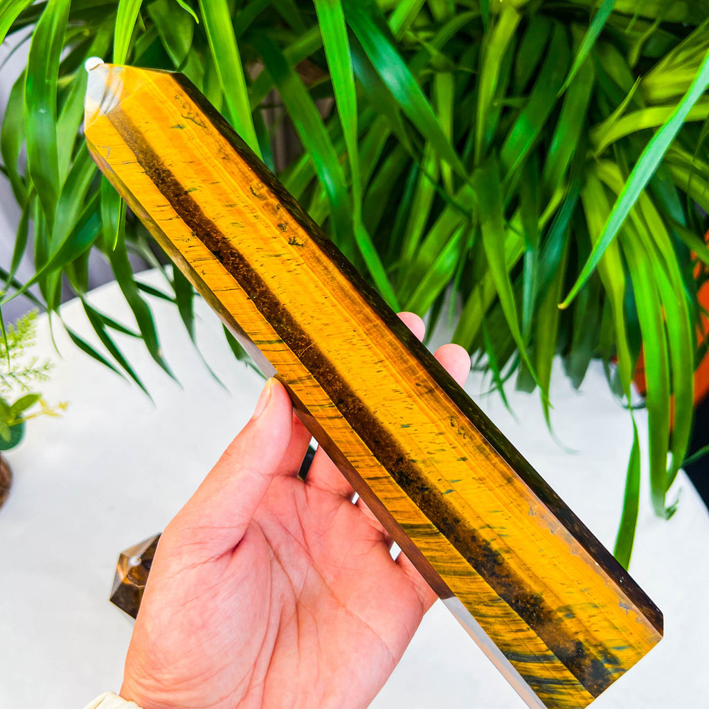 tiger eye tower