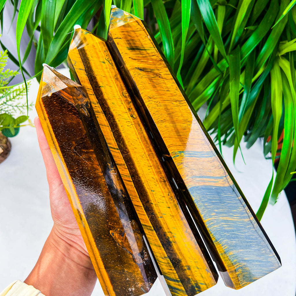 tiger eye tower