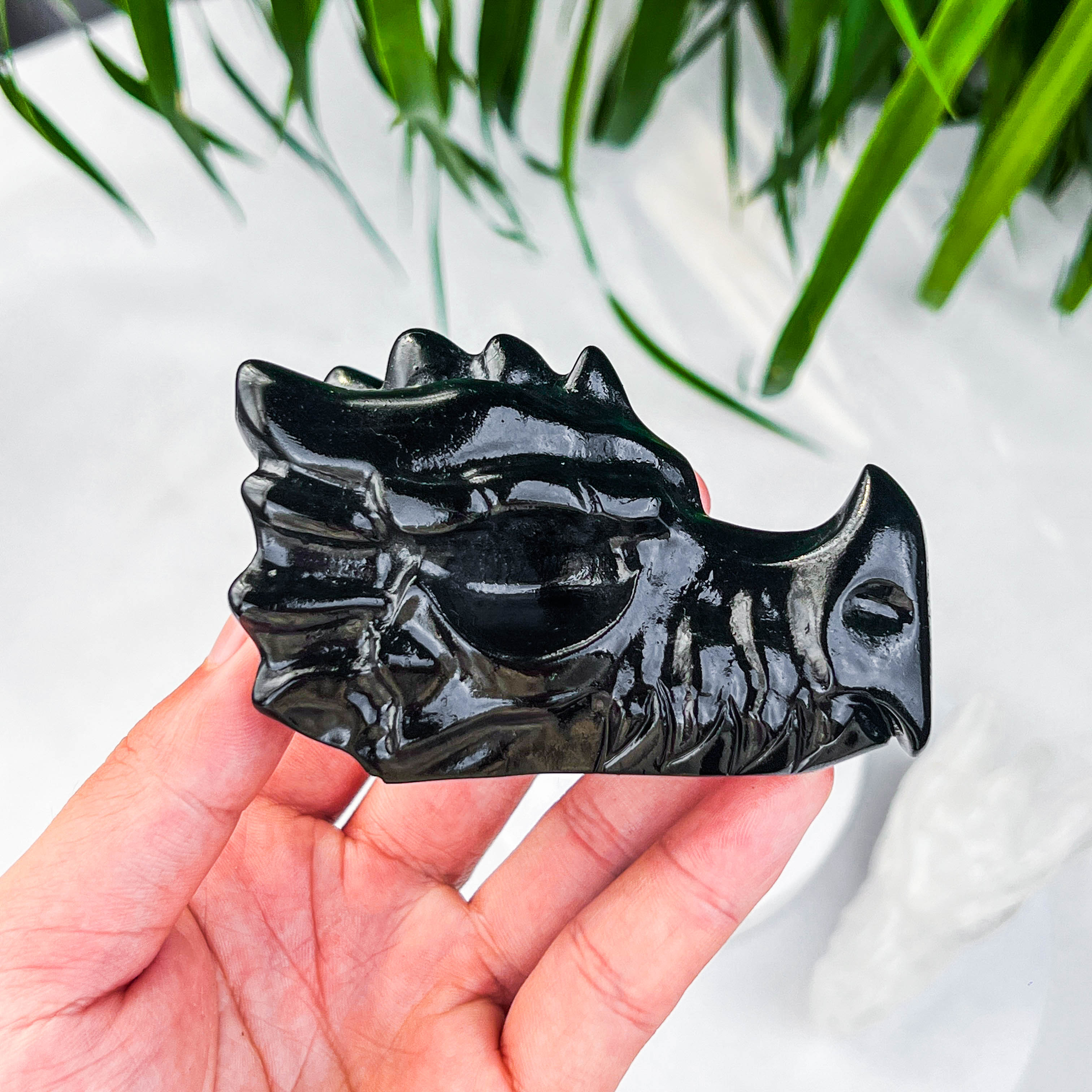 dragon skull