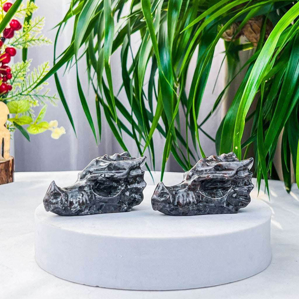 Yooperlite dragon skull