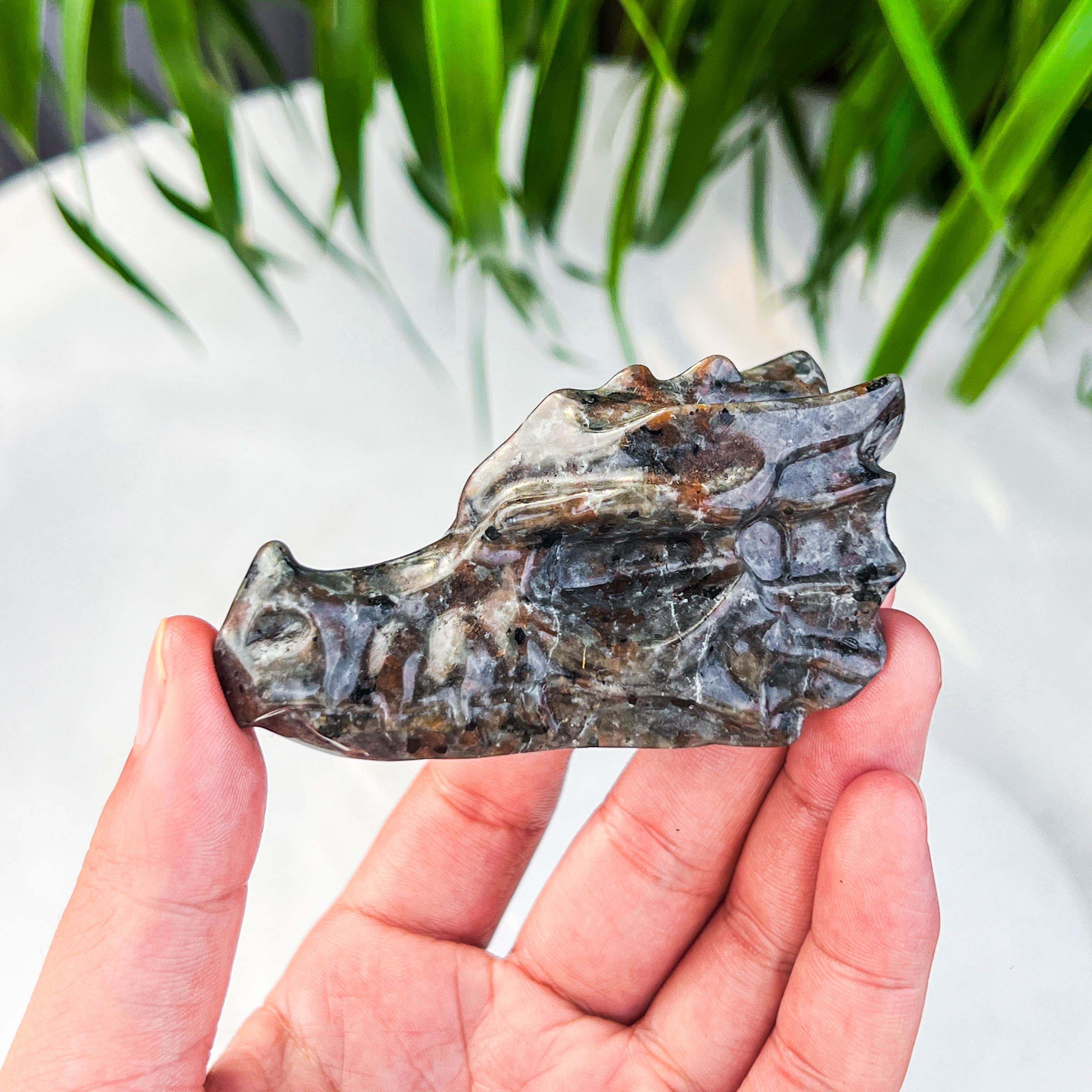 Yooperlite dragon skull