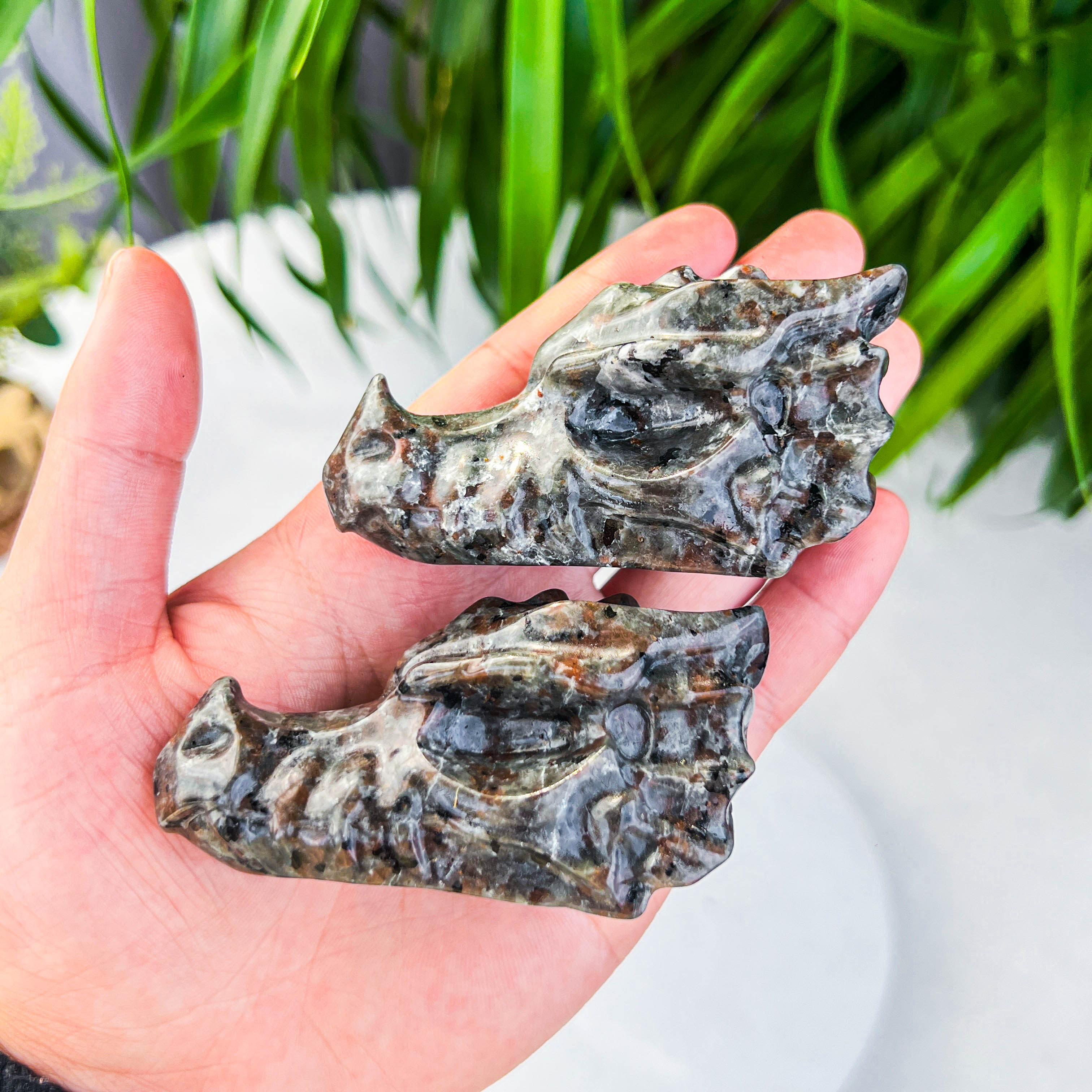 Yooperlite dragon skull