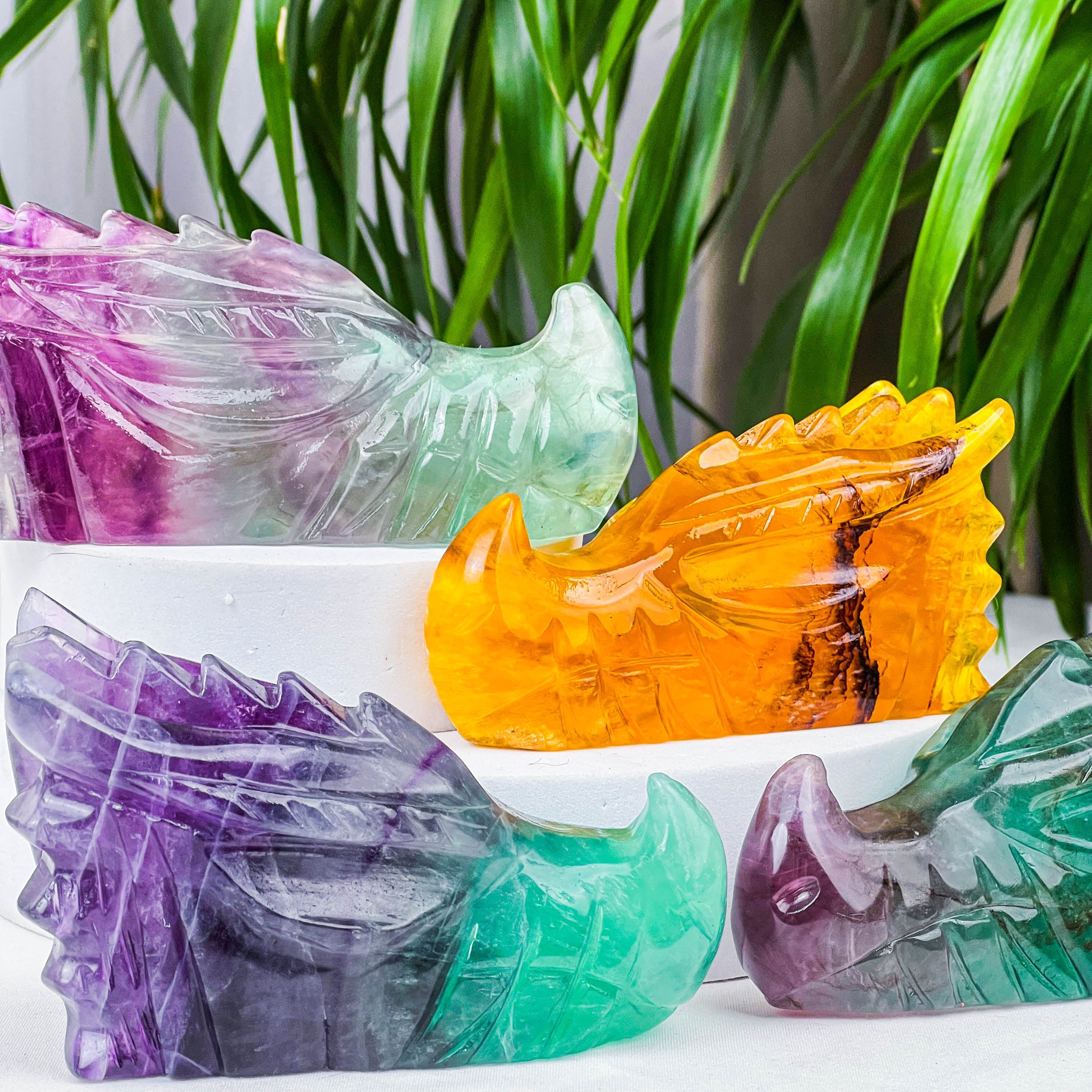 fluorite dragon skull