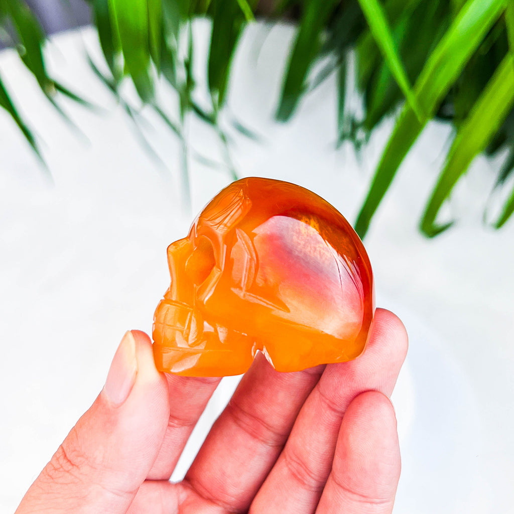 skull (medium)