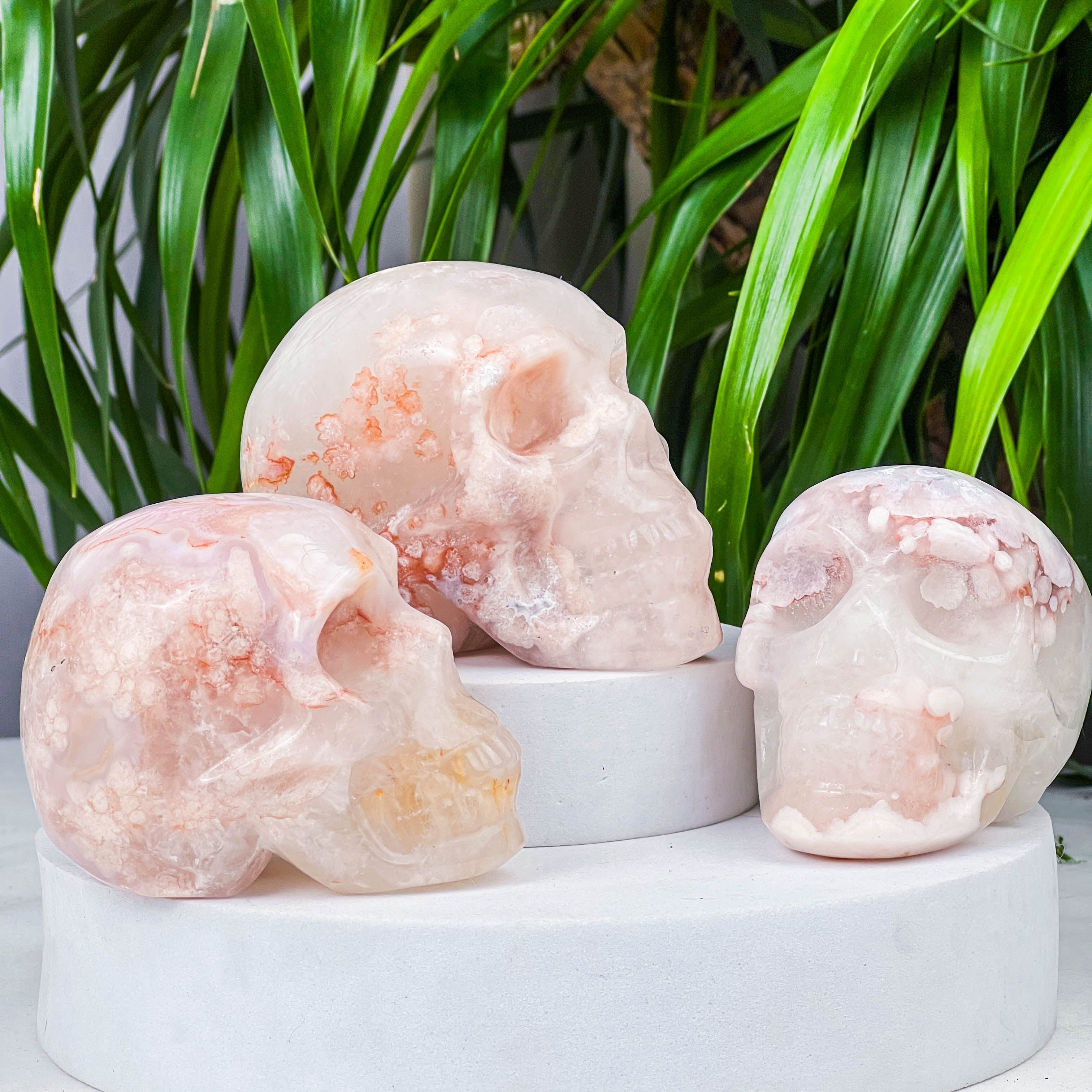 flower agate skull