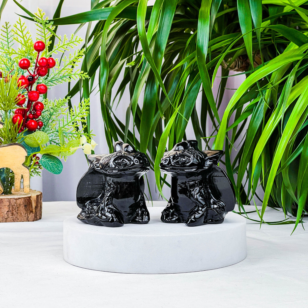 black obsidian toothles